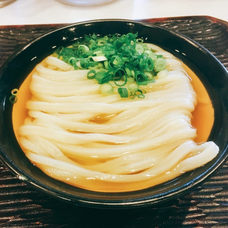 かけうどん(うどん 丸香)の写真