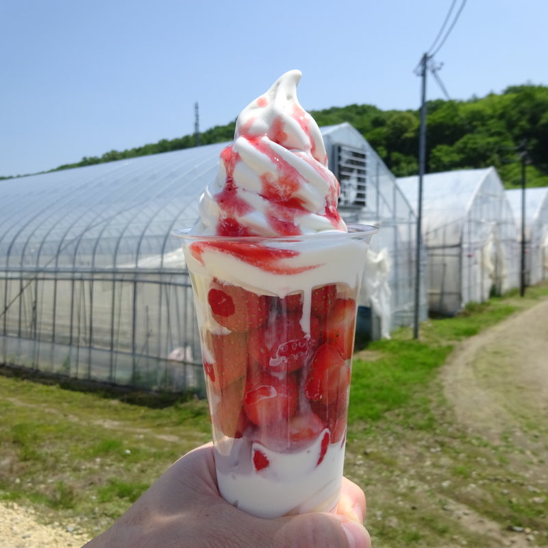 いちごパフェ(農家の茶屋 自然満喫倶楽部)の写真