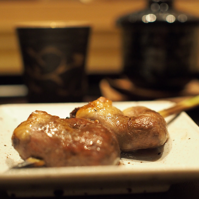 はつ(北浜鳥匠 Ren)の写真