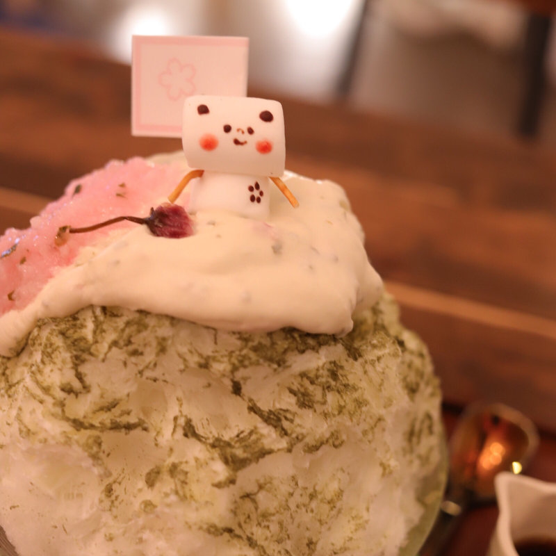 さくらちゃん(サカノウエカフェ )の写真