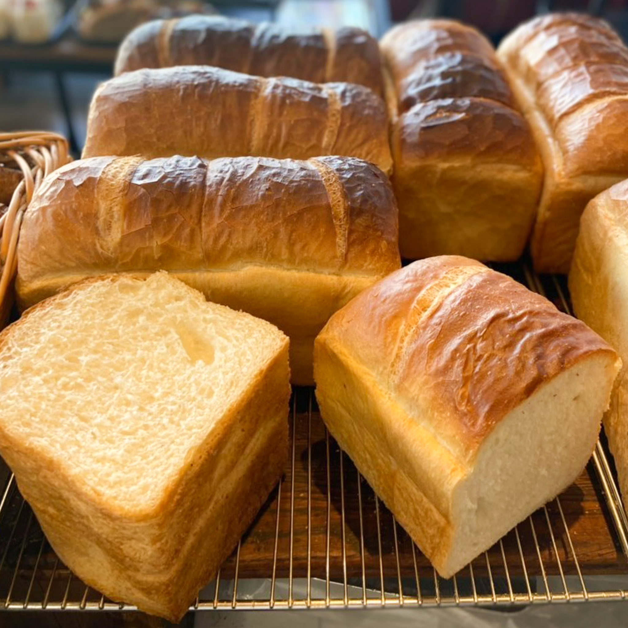 トレビアン(ボー・スィエル)の写真