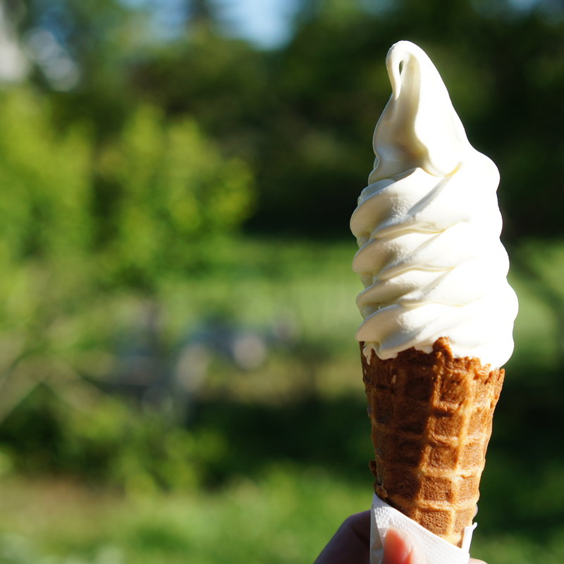 ソフトクリーム 手焼きワッフルコーン(ましゅれ　長沼店)の写真