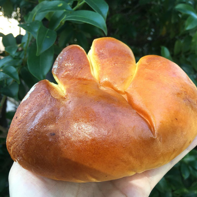 クリームパン(亀井堂 （カメイドウ）)の写真