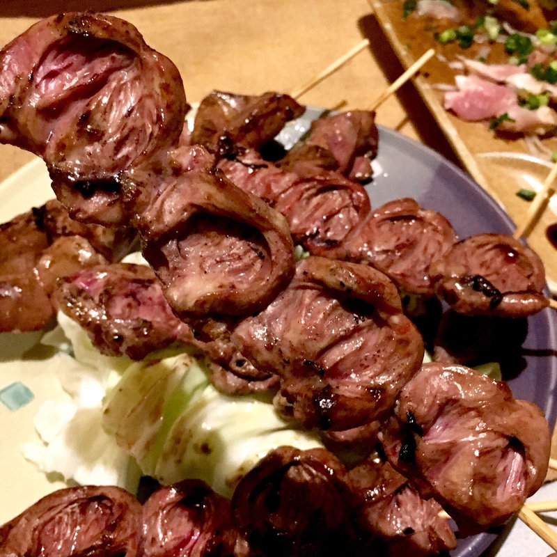 ハツ(純一 )の写真