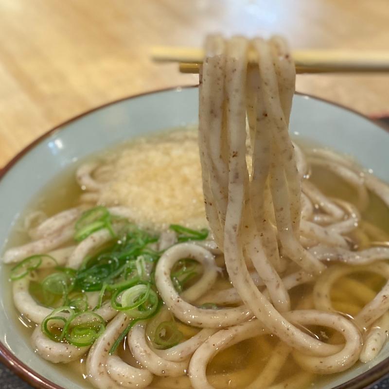 かけ(うどん 讃く)の写真
