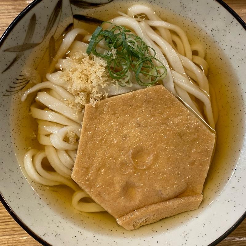 キツネのキュータロー(Udon kyutaro)の写真