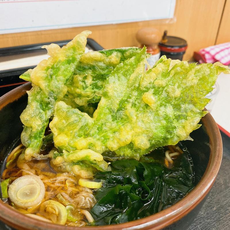 あしたば天そば(めんや)の写真