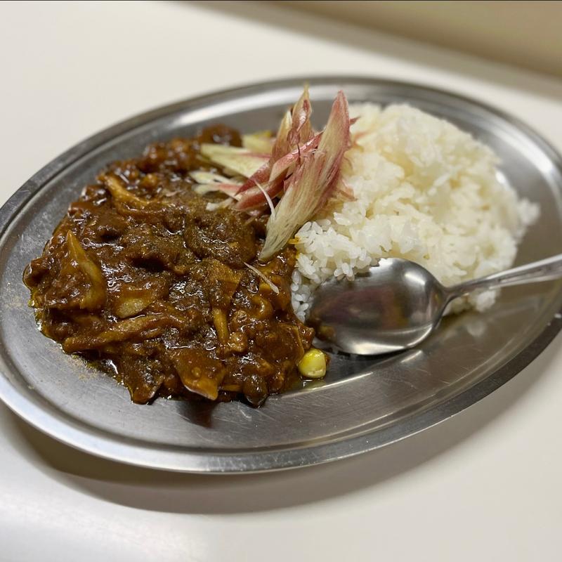 プレミアムスープカレー（とろっときのこカレー）(かれーの店 うどん)の写真