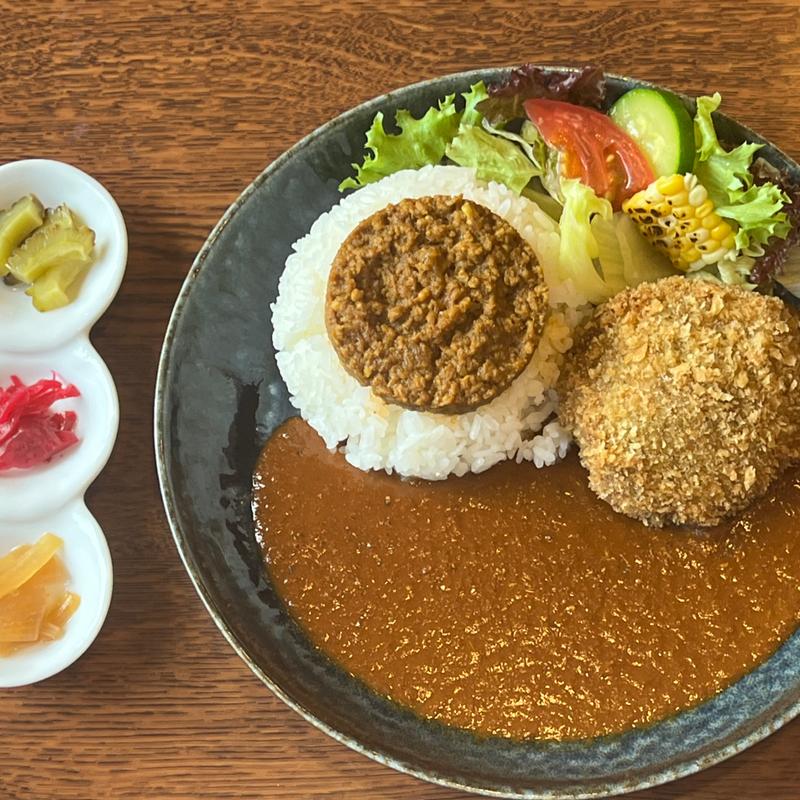 PAIKAJIカレー(スパイス欧風カレー PAIKAJI)の写真