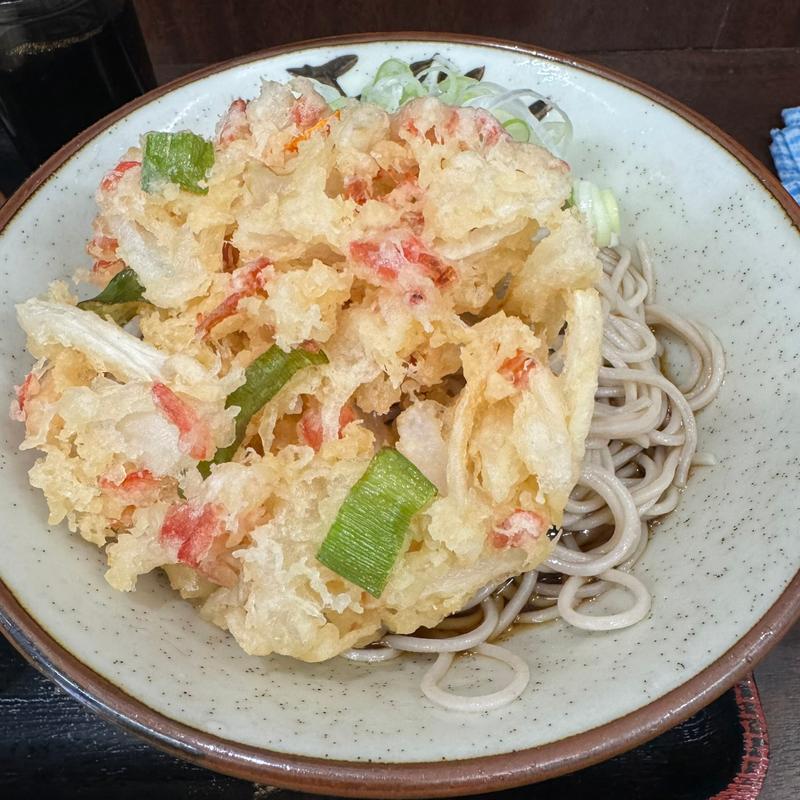 冷かけ＋かき揚げ(そばよし)の写真