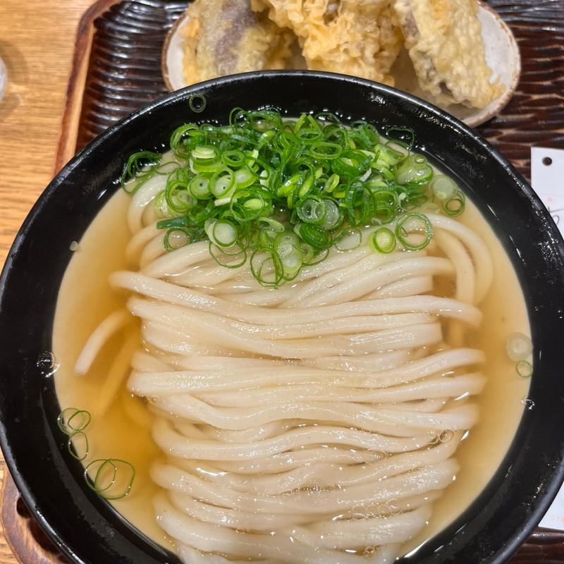 かけうどん(丸香)の写真