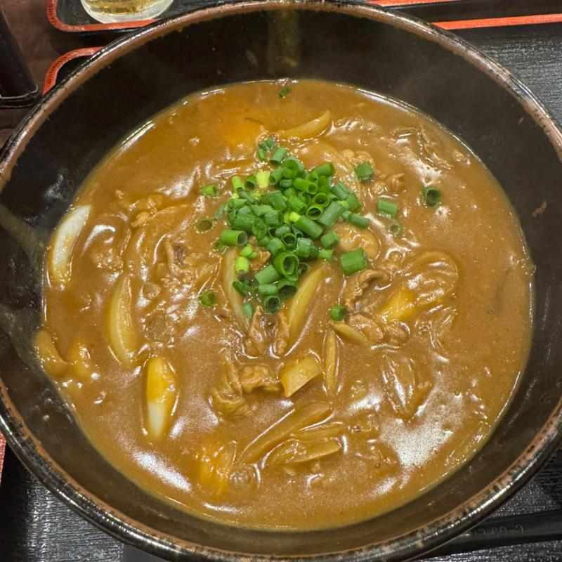 牛カレーうどん(手打ちうどん　こんぴら茶屋)の写真