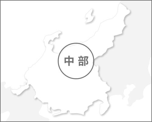 Area chubu