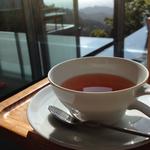 桜の和紅茶