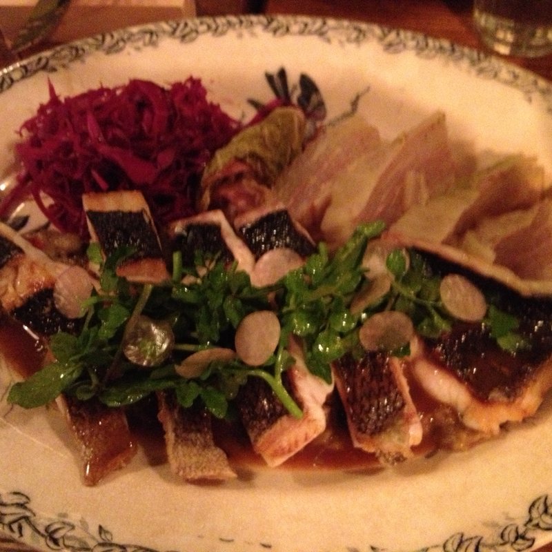 お任せコース(organ)