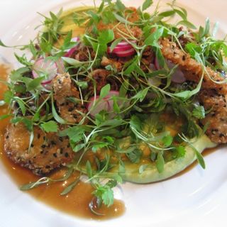 Marinated mackerel, king prawn beignets, avocado puree, radish, coriander, soy and sesame(LA TROMPETTE)