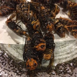 スズメバチの唐揚げ(佐和屋旅館)