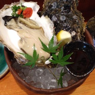 岩牡蠣(夢ぼうず)