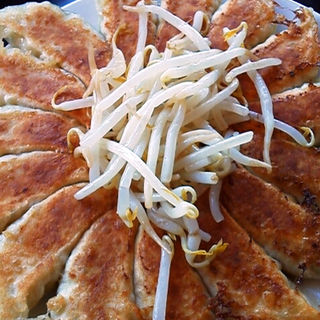 餃子中（15個） (石松餃子 本店)