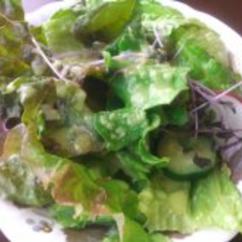 【シェフのおすすめランチ】　サラダ(Restaurant&Sweets花の妖精)