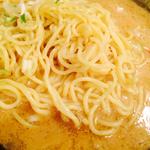 ちゃんぽん麺(わがまま食材工房 joji)