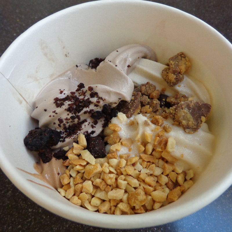 プレミアム・フローズン・ヨーグルト・アイス(Berrymoon)