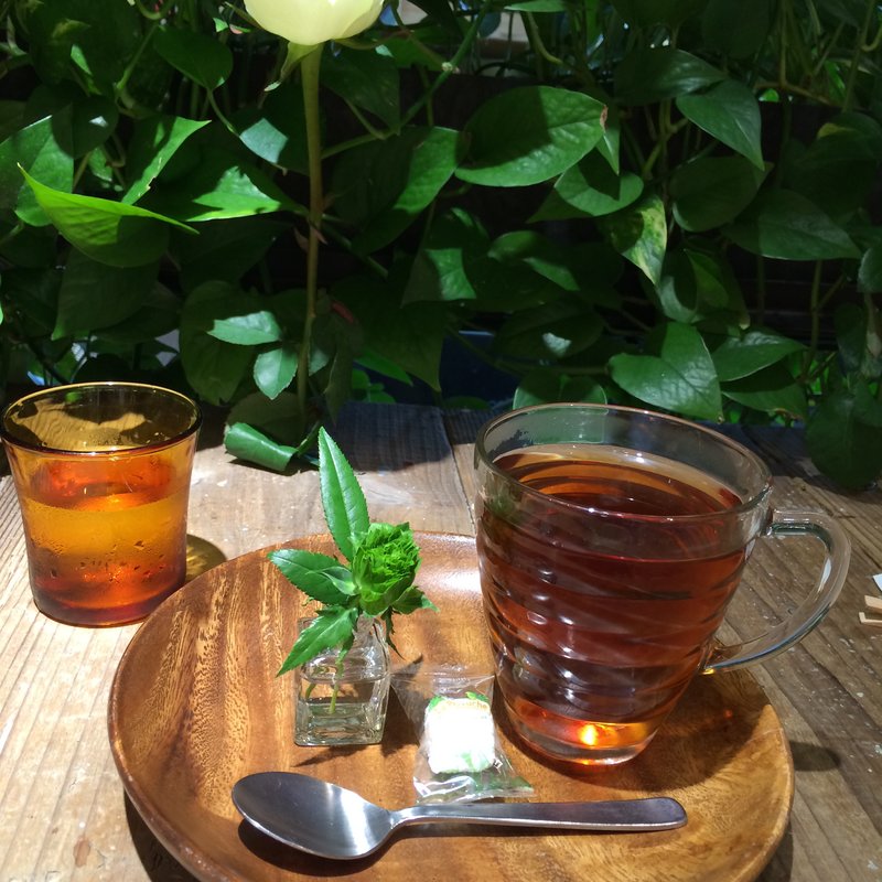 本日の紅茶(AoyamaFlowerMarket TEA HOUSE)
