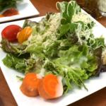 有機水耕栽培サラノバと地産地消狛江野菜のサラダ