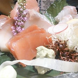 大マグロと選抜鮮魚のお造り盛り　3貫(近畿大学水産研究所 銀座店)