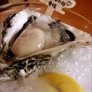愛南岩牡蠣(Oyster Lover’s)
