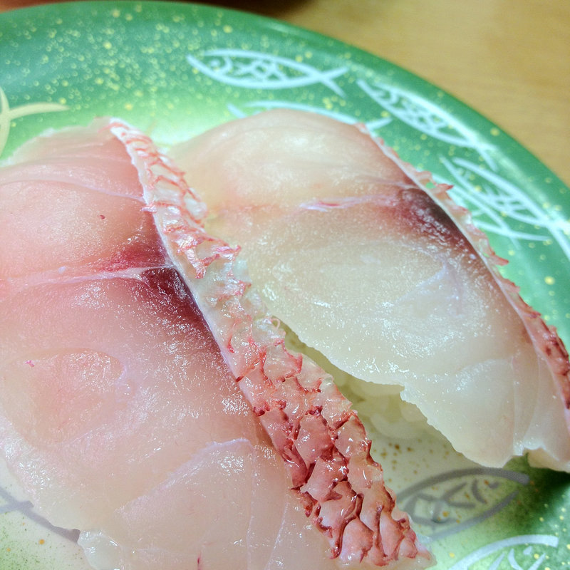 赤マチ(鮨人 （すしんちゅ）)