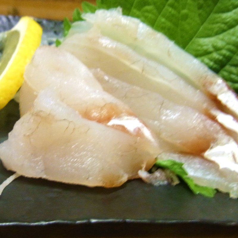 こちの刺身(板前寿司・赤坂店)