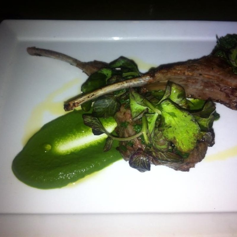 ラムグリルとジェノベーゼソース(A Voce)