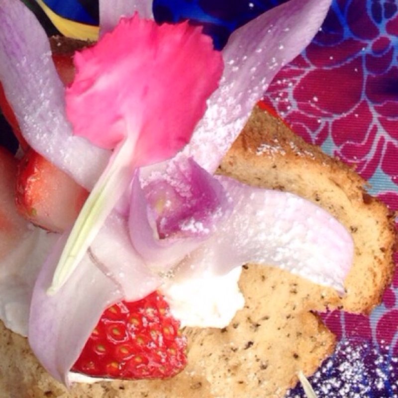 天使のケーキ(cafe&dining bar ヴァードウィーク)