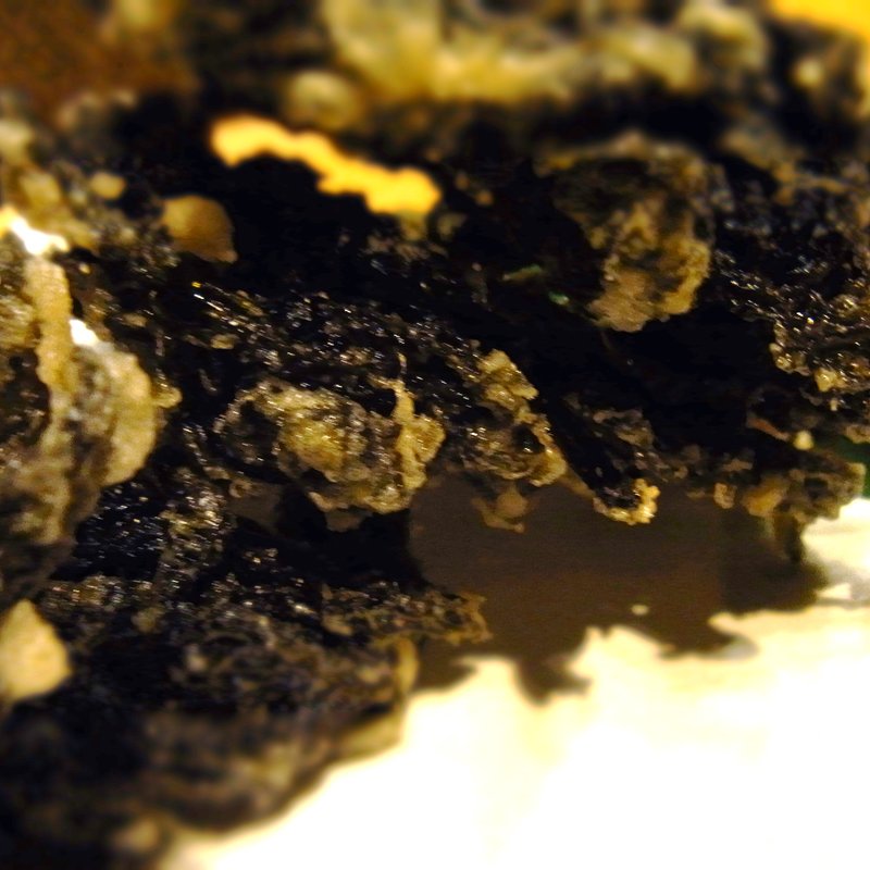 のりの天ぷら(炉端 一炉一会)