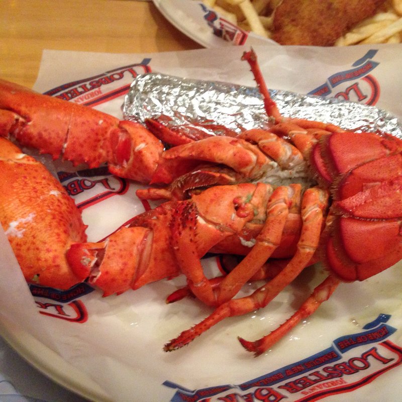 ロブスター(Jordan Lobster farms )