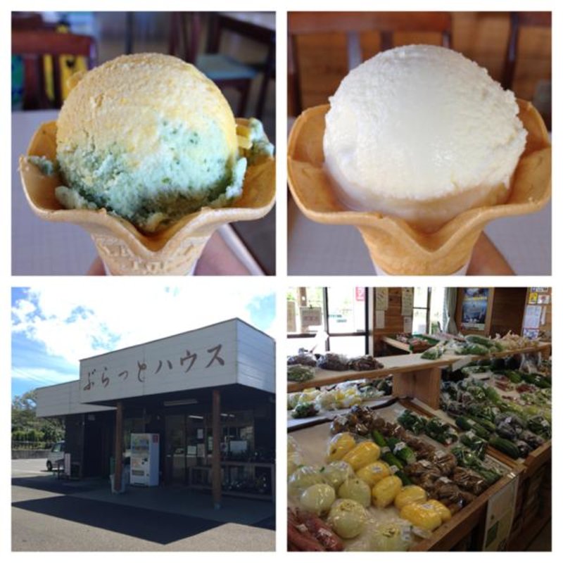 明日葉＆カボチャ(ぶらっとハウス)