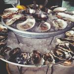 Happy Hour Oyster