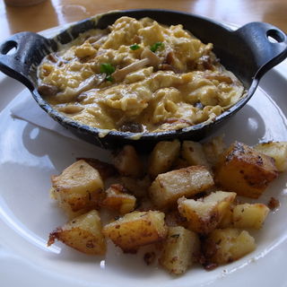 Shimeji Omelette(Morning Glass)