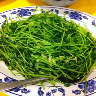 Sautéed Pea Sprout w/Garlic Sauce(Shan Dong)