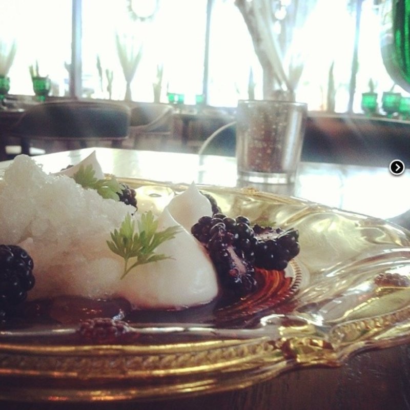 Strauss Greek Yogurt Panna Cotta: blackberries, honey, yuzu granite(Faith & Flower)