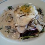 Seed Loco-Moco
