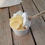 自家農園で取れたフルーツのジェラート(La fonte)