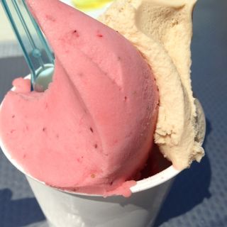 ジェラート(横須賀ジェラートファクトリー)
