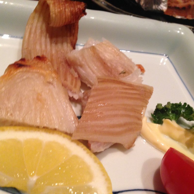 えいひれ(弁慶 （べんけい BENKEI）)