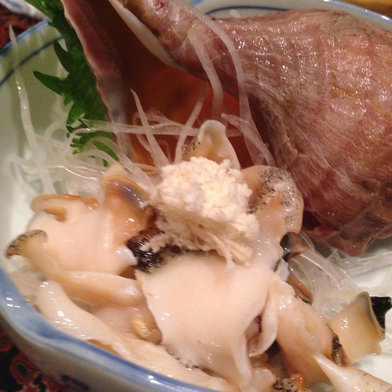 つぶ貝の刺身(弁慶 （べんけい BENKEI）)