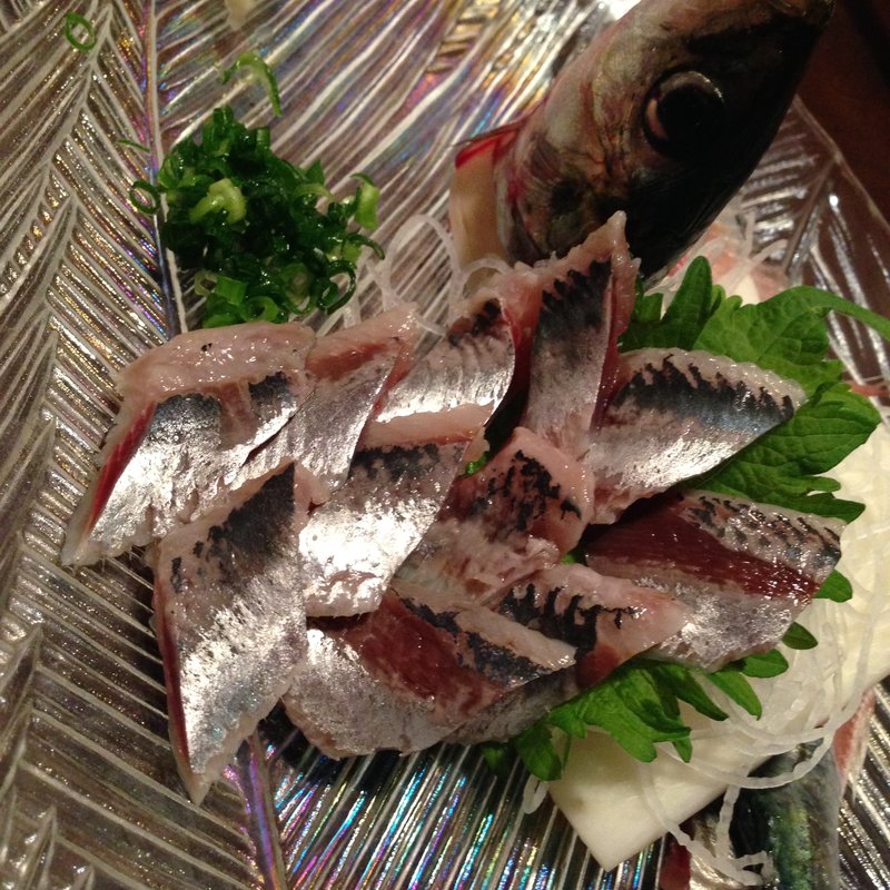 鯵のお造り　コース(アイビー)