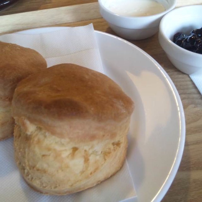 クロテッドクリームとブルーベリージャムの自家製スコーン　(自家焙煎珈琲店　よしの珈琲)