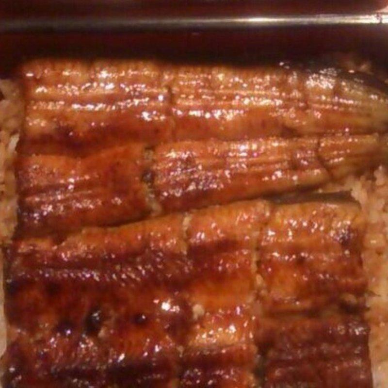 うな重(郡上炭火焼　うなぎの魚寅 )