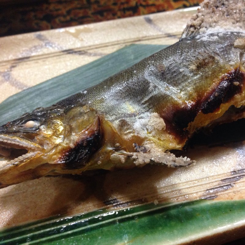 鮎の塩焼き(郡上炭火焼　うなぎの魚寅 )